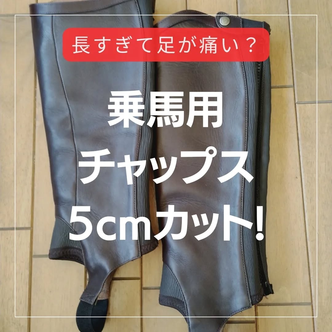 %%image%%