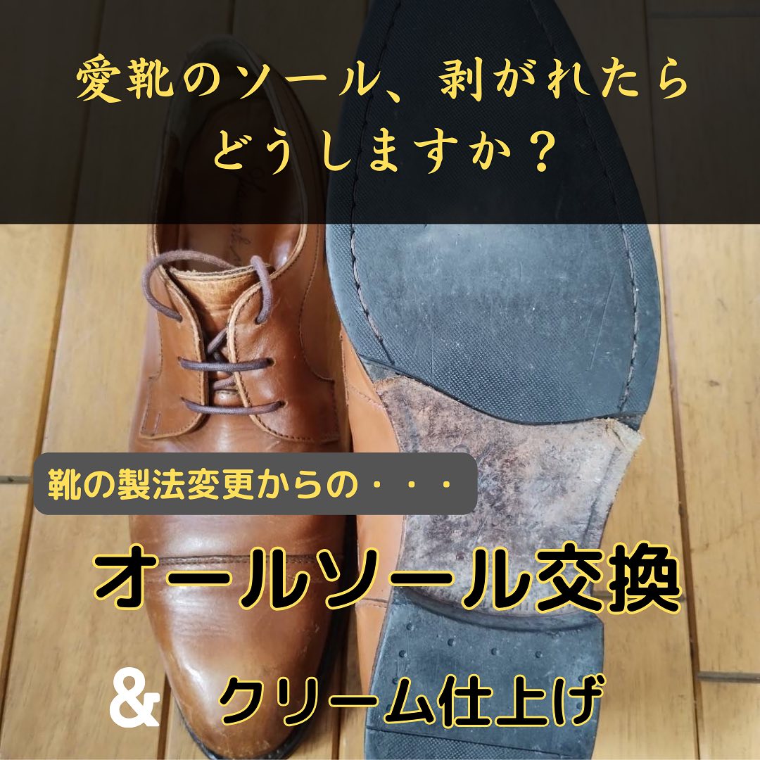 %%image%%